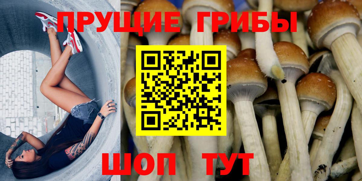 Галлюциногенные грибы мухоморы Ейск